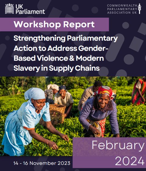 New Report Details Plans by Commonwealth MPs to Tackle Modern Slavery and Gender-Based Violence listing image