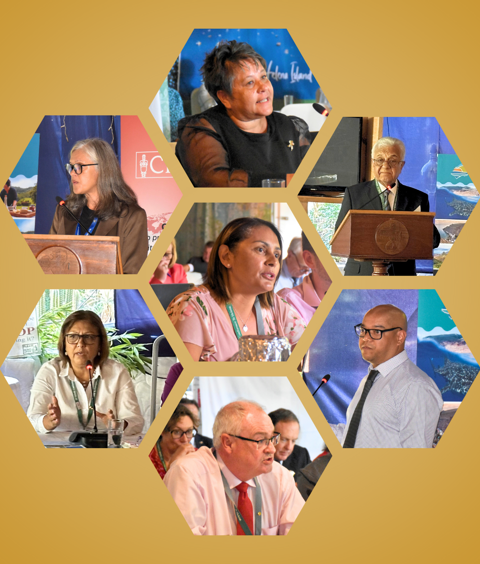 St Helena Hosts 53rd BIMR Conference listing image